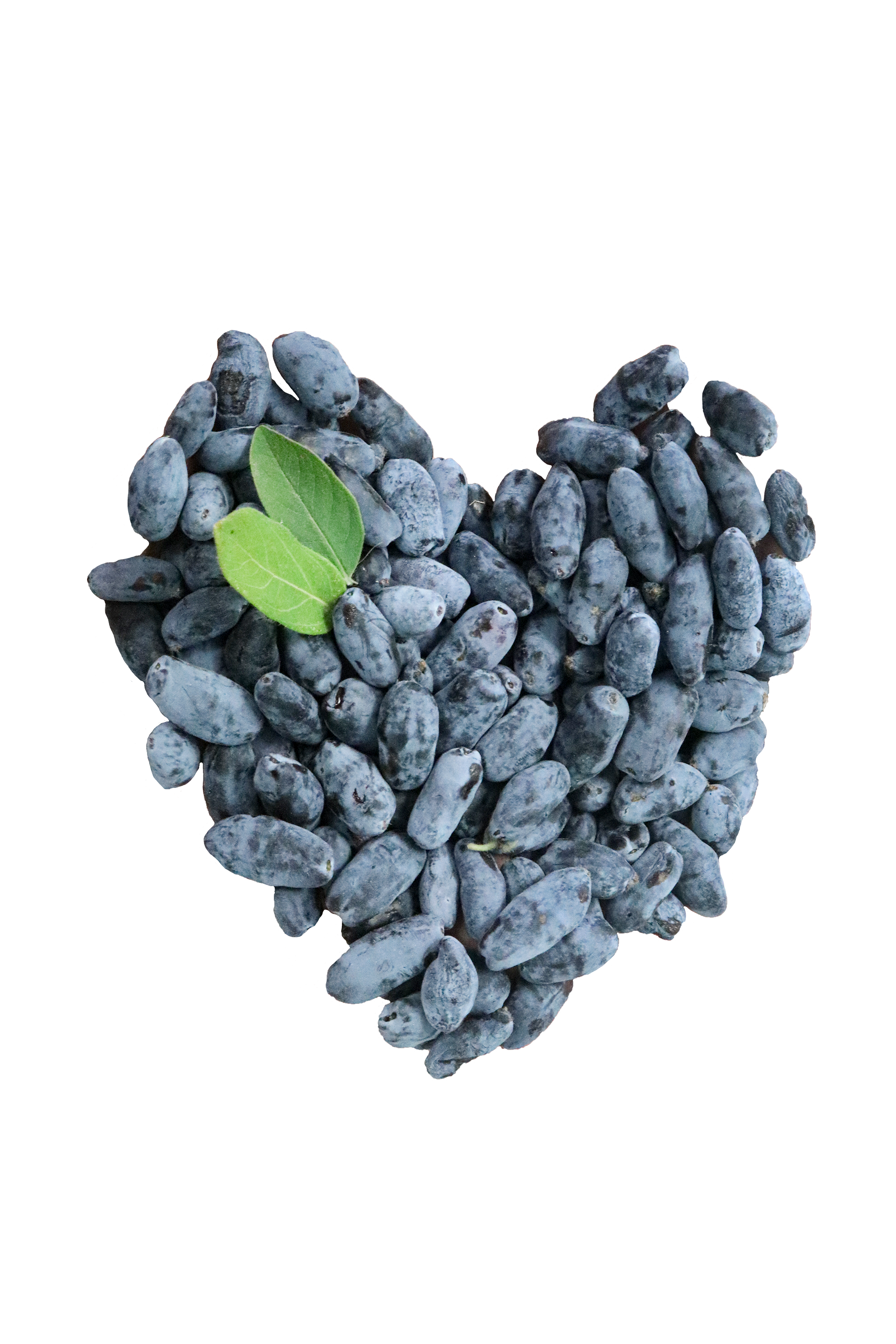 Haskap berries in a heart shape
