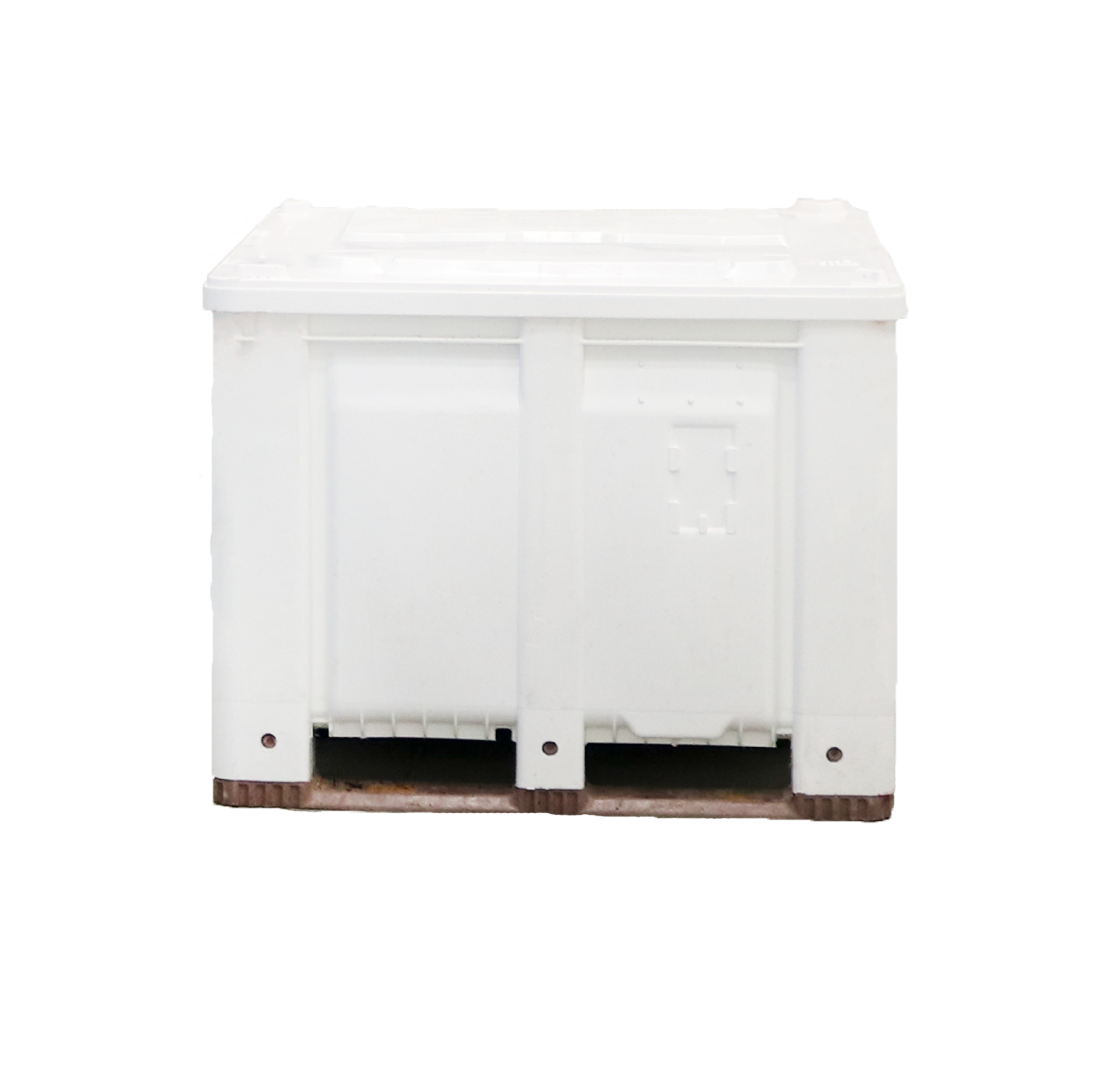 Frozen Haskap Berries in Tote Image